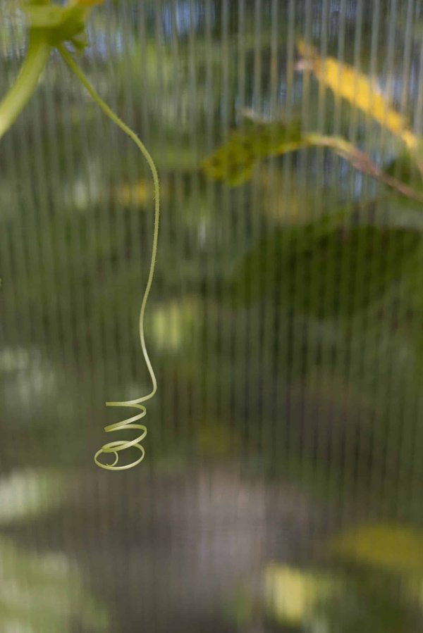 Comment adapter une maison de ville pour une personne en fauteuil roulant?