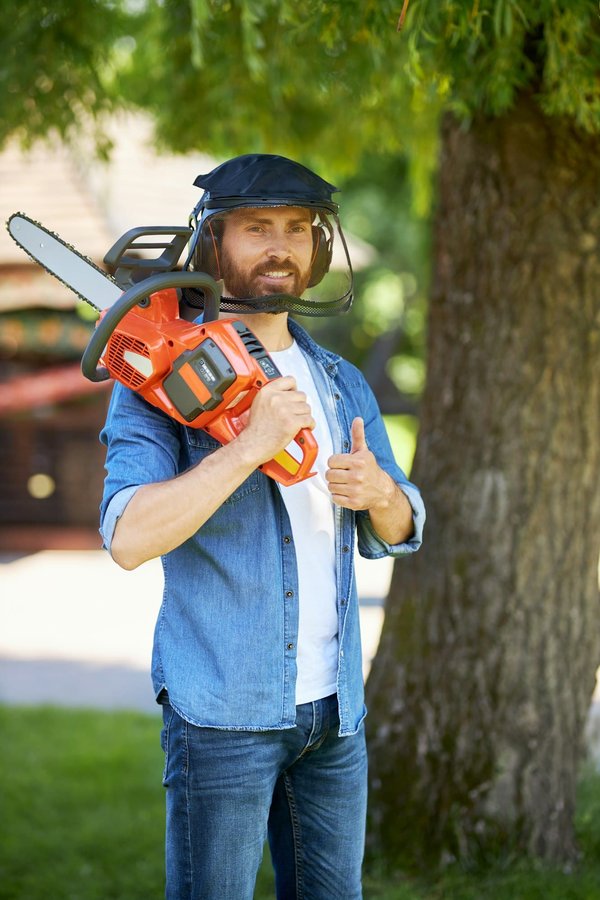 Tronçonneuse sans fil: le guide pour choisir sans se ruiner