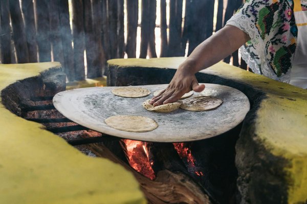 Découvrez la meilleure cuisinière à bois pour votre foyer